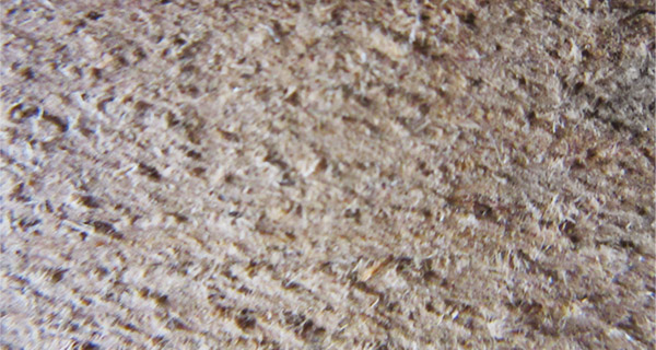 ボードのみタイプ